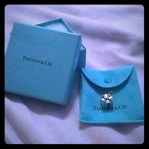 Tiffany & Co. Tiffany Blue & Silver Gift box Charm