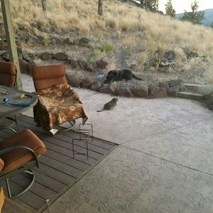 Meet your Posher, Brandi