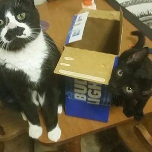 Meet your Posher, Jared