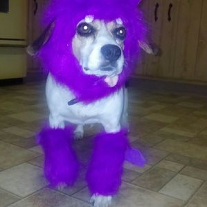 Meet your Posher, Crystal