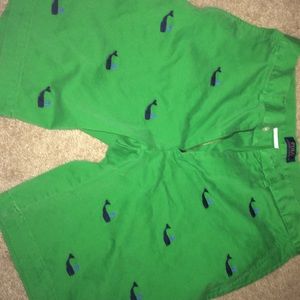 Polo Ralph Lauren shorts green with whales