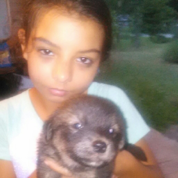 Meet your Posher, Wilfredo - Picture 1 of 1