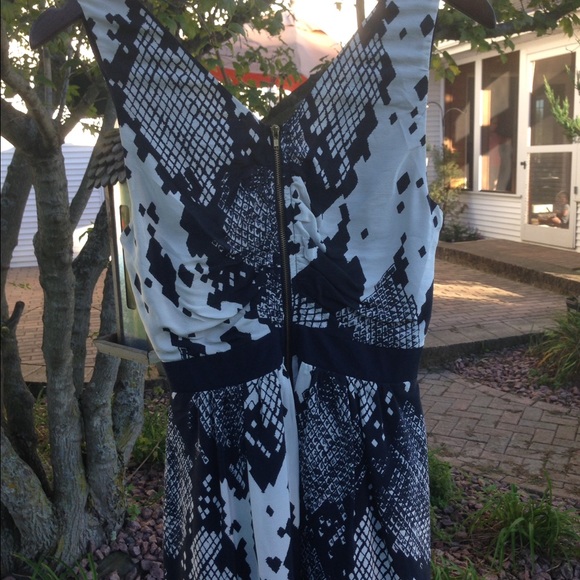 Line & Dot navy printed dress - Picture 2 of 2