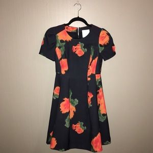 Anthropologie Poppy Palette Dress