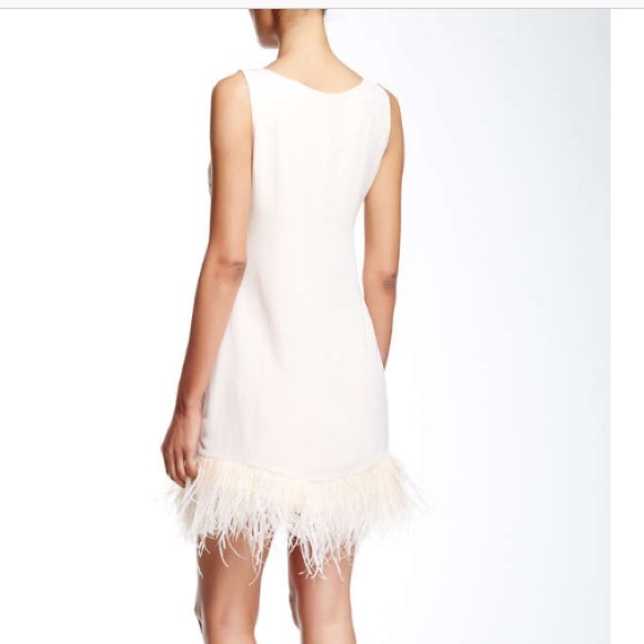 1 HOUR 👠Feather Trim  dress - Picture 2 of 4