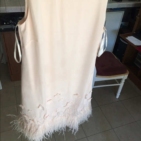 1 HOUR 👠Feather Trim  dress - Picture 3 of 4