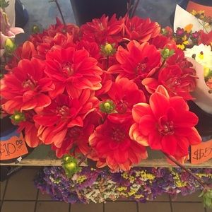 Meet your Posher, Edith