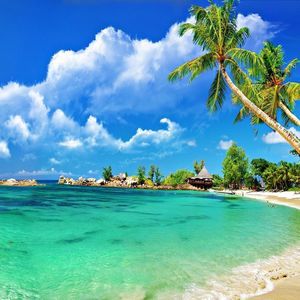 Meet your Posher, Sandy