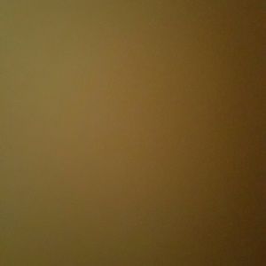 Meet your Posher, Lynette