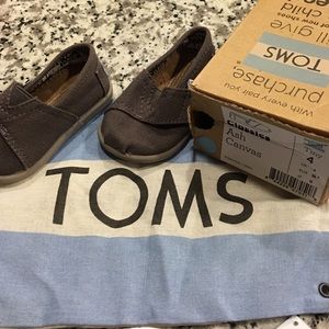 Tiny toms ash canvas shoes