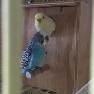 Meet your Posher, Christine