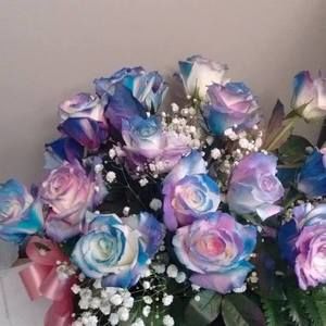 Meet your Posher, Patricia