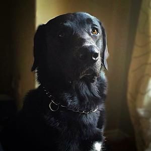 Meet your Posher, Sandy