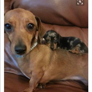 Meet your Posher, Christie