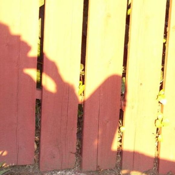 Meet your Posher, Holly