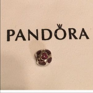 Sliver pandora bead