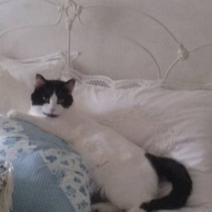 Meet your Posher, Kim