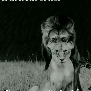 Meet your Posher, Corbie