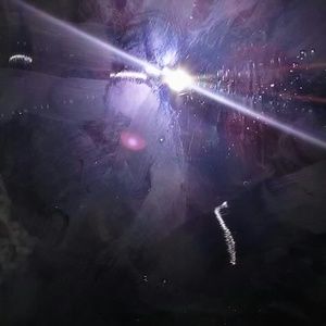 Meet your Posher, Kathleen newmark