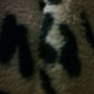 Meet your Posher, Bettina