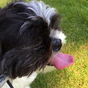 Meet your Posher, Robyn