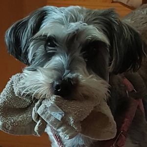 Meet your Posher, Tina