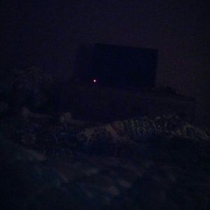 Meet your Posher, Kelli