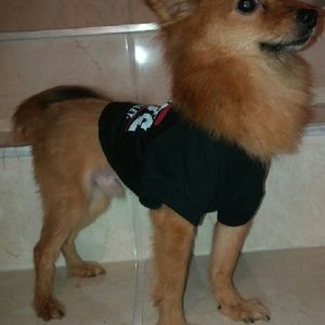 Meet your Posher, Eugene