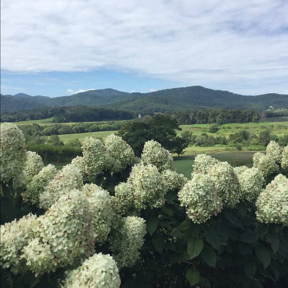 Meet your Posher, Lauren - Picture 1 of 1