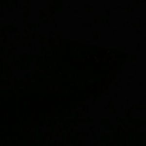 Meet your Posher, Tamika