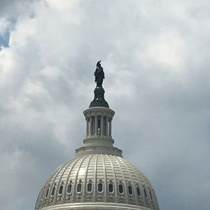 Meet your Posher, Art