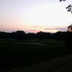 Meet your Posher, Carly