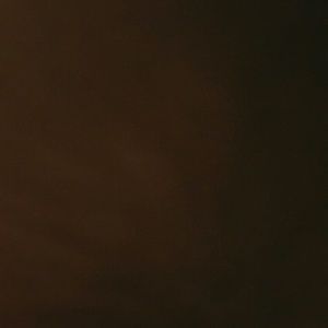 Meet your Posher, Shayne