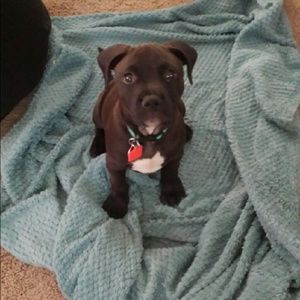 Meet your Posher, Ricky