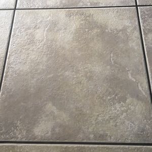 Meet your Posher, Eleane