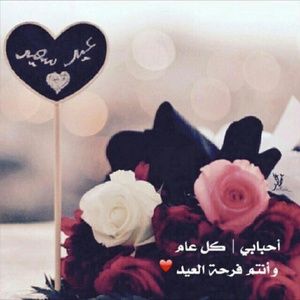 Meet your Posher, Doaa