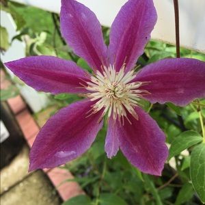 Meet your Posher, Gail