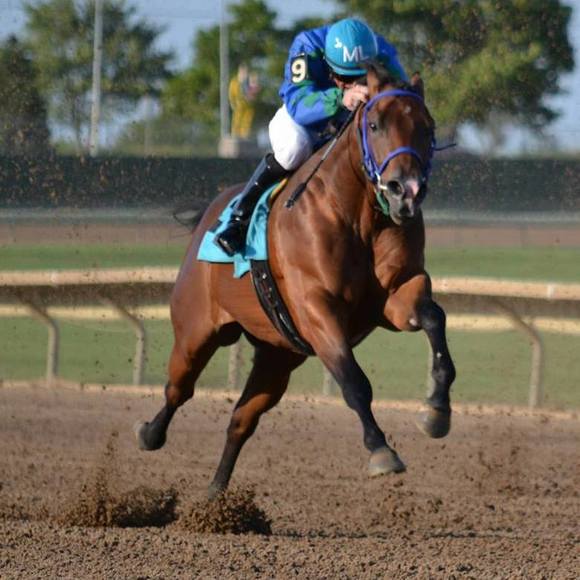 Meet your Posher, Kelly - Picture 1 of 1