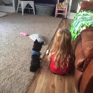 Meet your Posher, Shasta