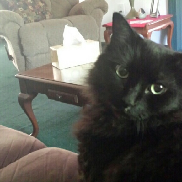 Meet your Posher, Jackie - Picture 1 of 1