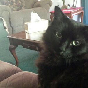 Meet your Posher, Jackie