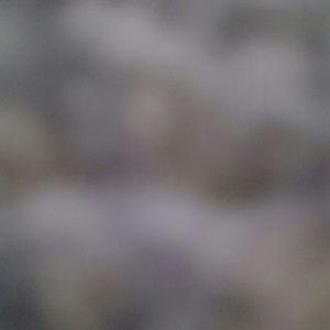 Meet your Posher, Stacey