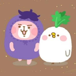 Meet your Posher, Camille