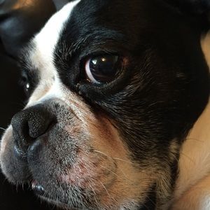 Meet your Posher, Grace