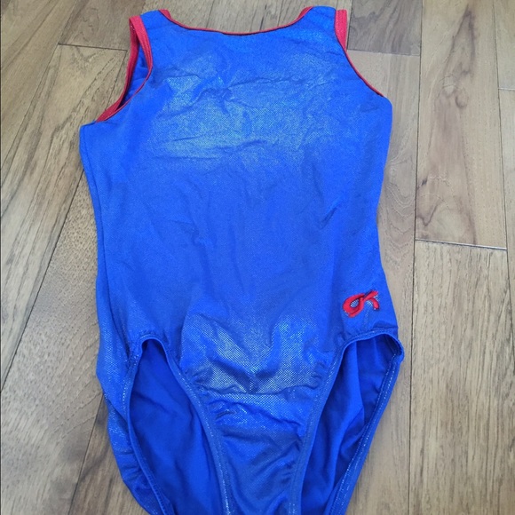 Blue Leotard