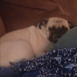 Meet your Posher, Aaron