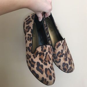 Cheetah Flats