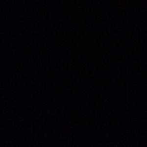 Meet your Posher, Daisy