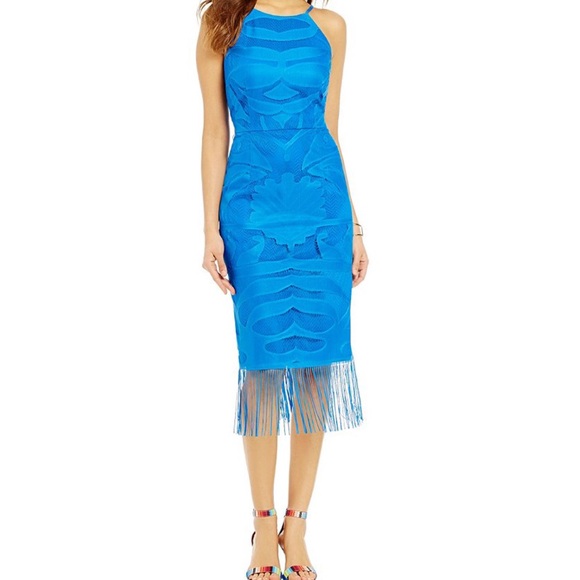 Gianni Bini | cobalt Blue Lace Fringe Halter Dress