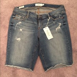 Torrid Boyfriend Denim Shorts